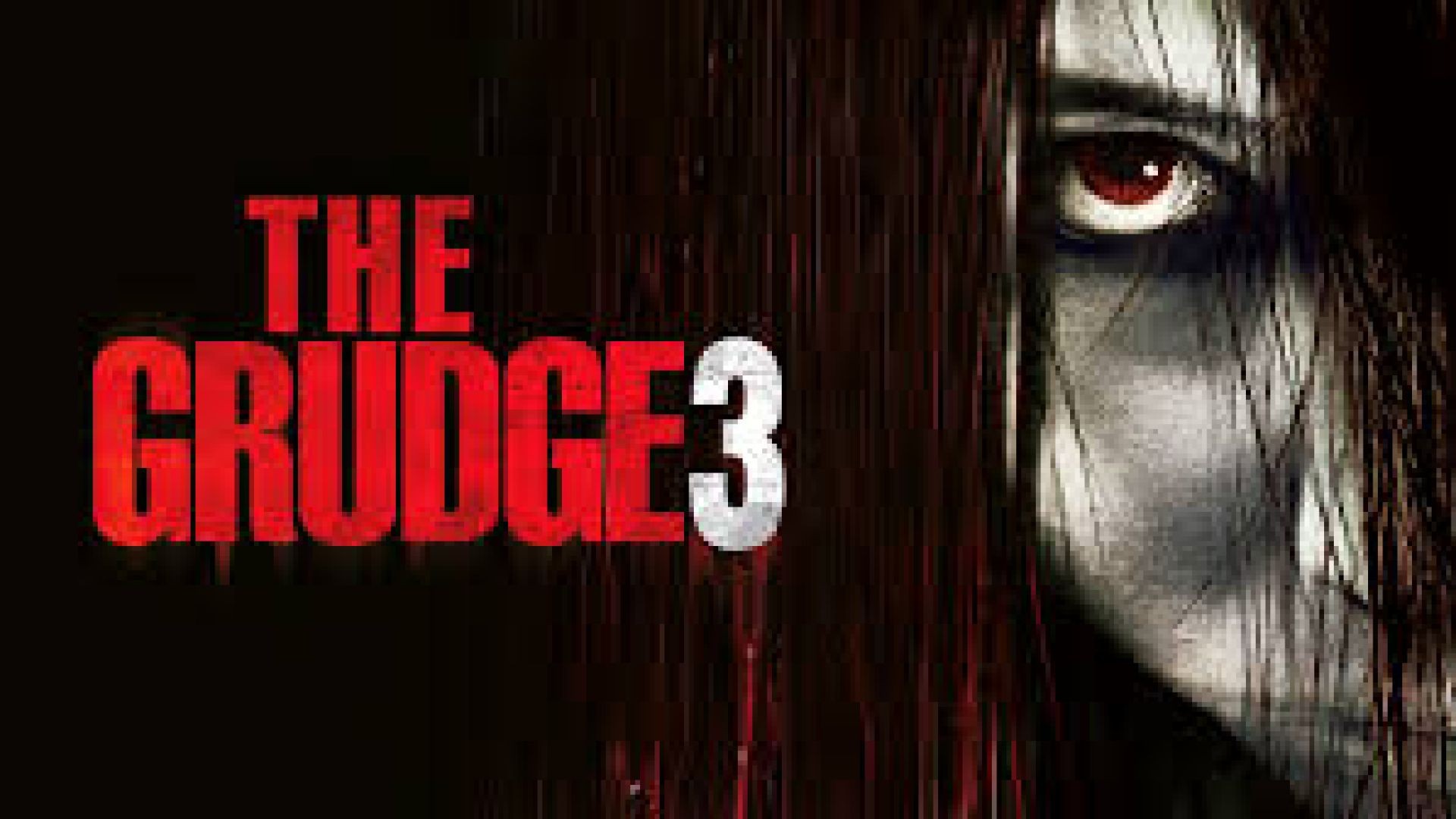 The Grudge 3 (2009) Dual Audio {Hindi-English} BluRay 720p